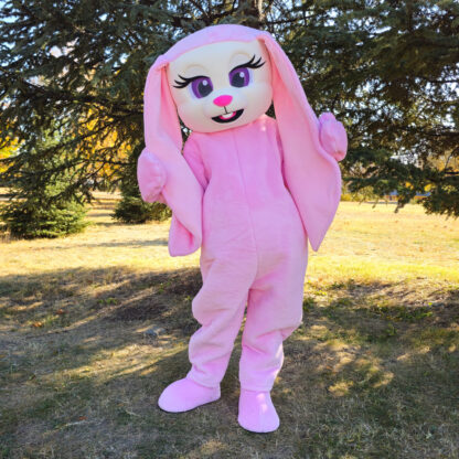 Mascot costumes